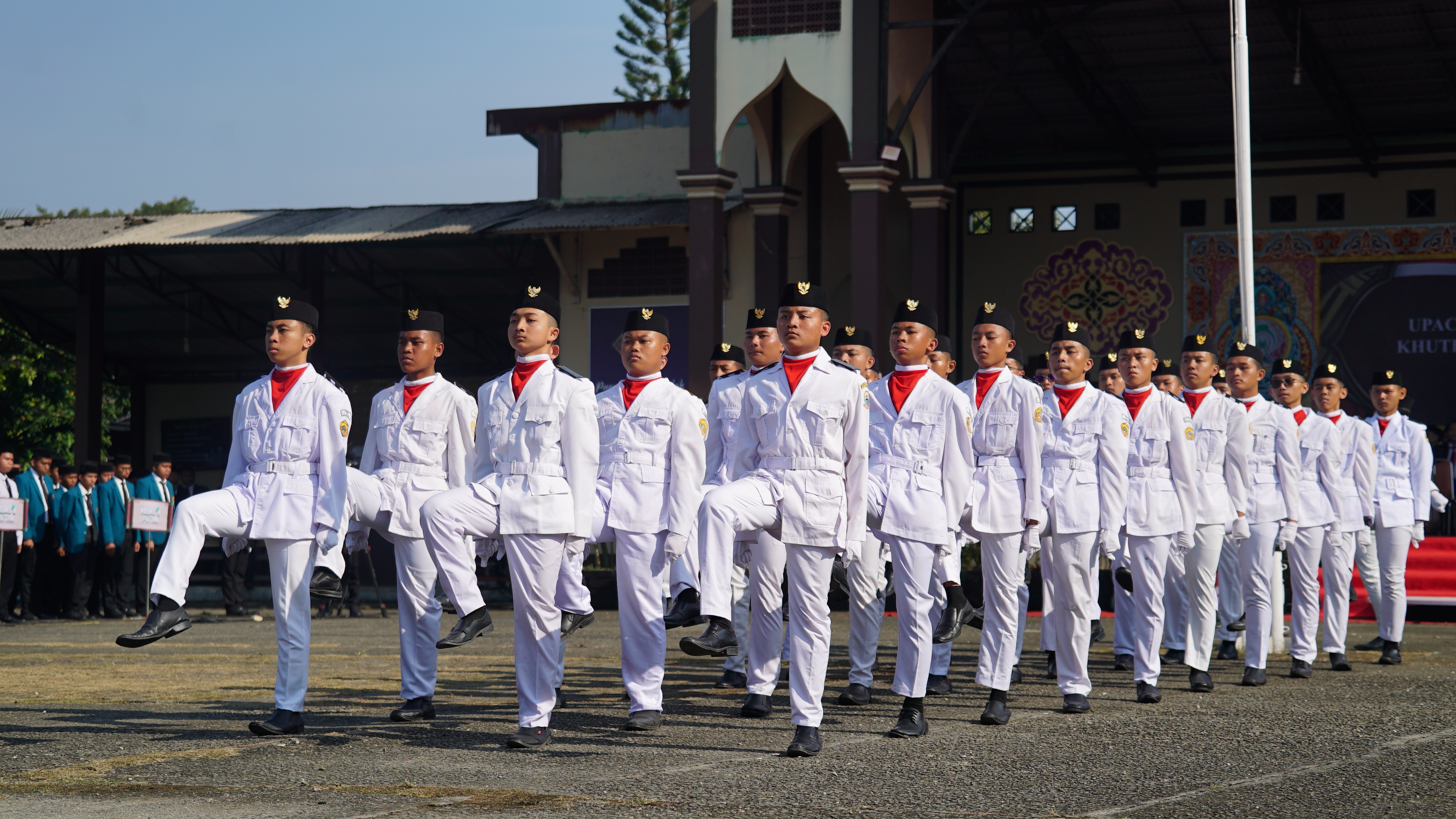 Organisasi & Kepanduan